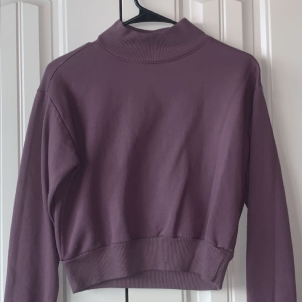 cropped sweatshirt